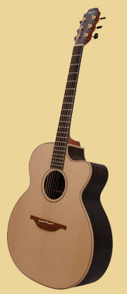 Acoustic guitar
